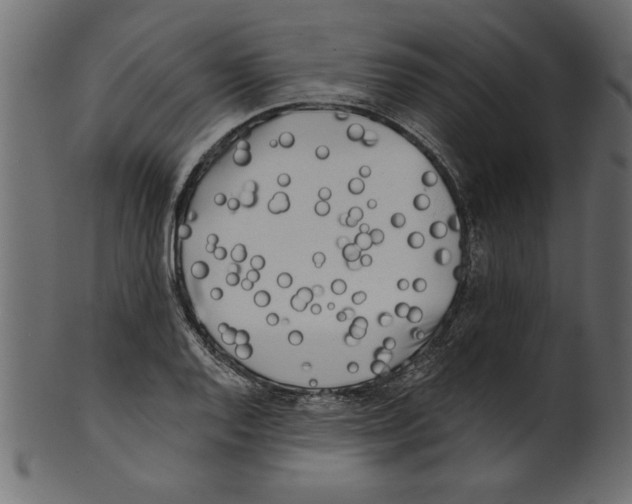 X0000100871128200807181230