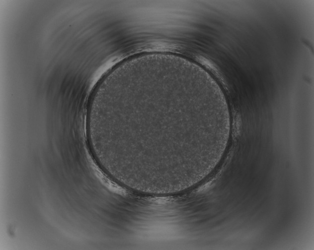 X0000100871130200807181230