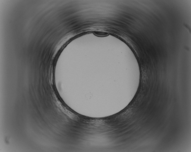 X0000100871131200807181230