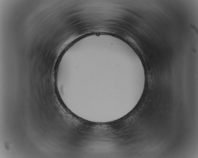X0000100871133200807181230