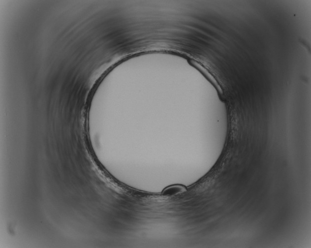X0000100871134200807181230