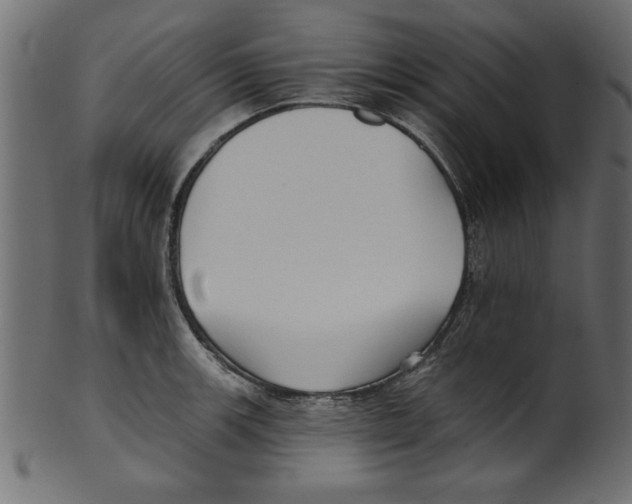 X0000100871139200807181230