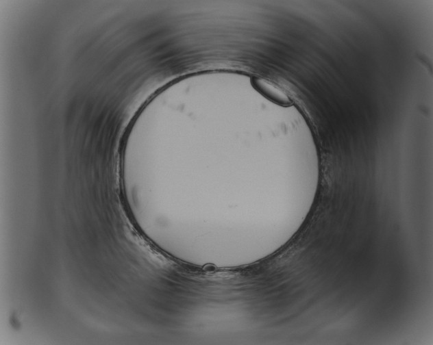 X0000100871140200807181230