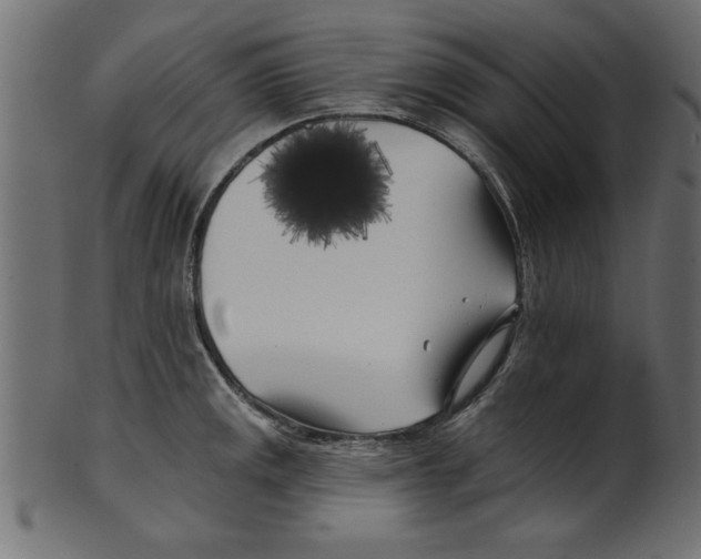 X0000100871141200807181230