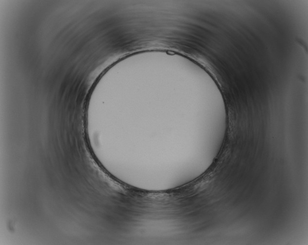 X0000100871142200807181230