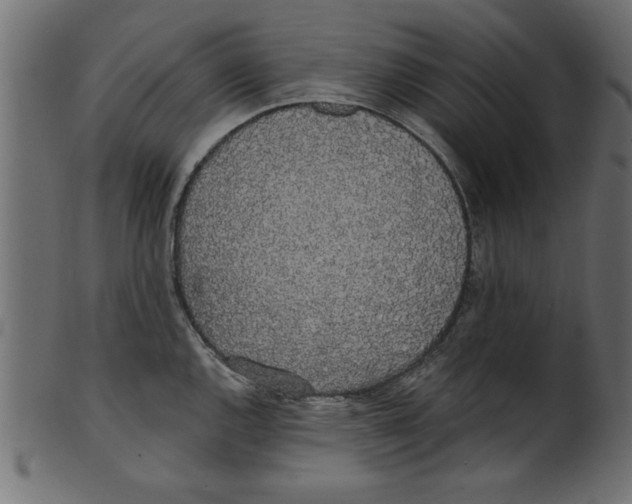 X0000100871144200807181230