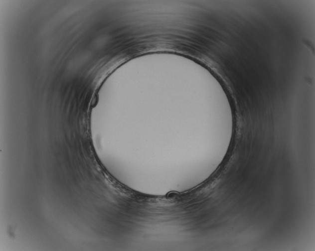 X0000100871145200807181231