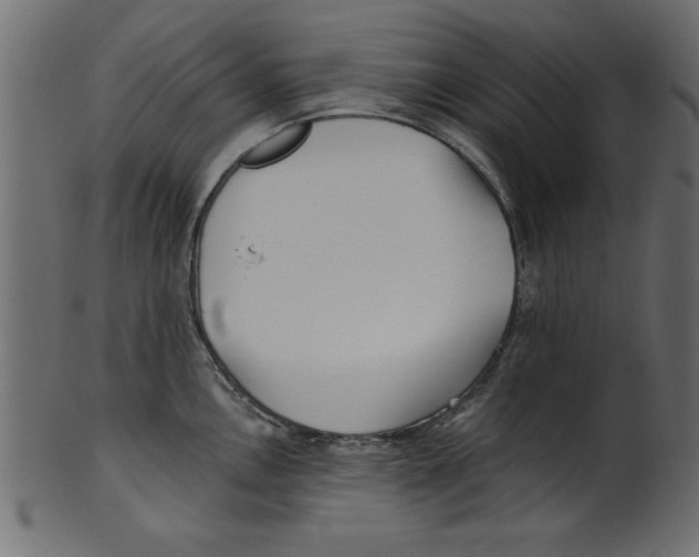 X0000100871146200807181231