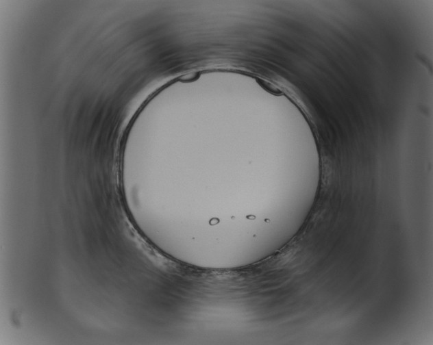 X0000100871148200807181231