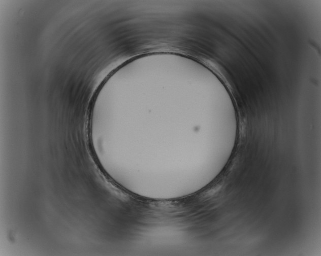 X0000100871149200807181231