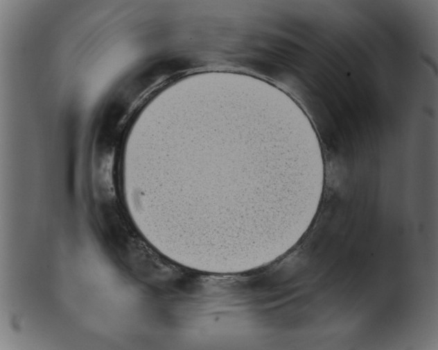 X0000100871150200807181231
