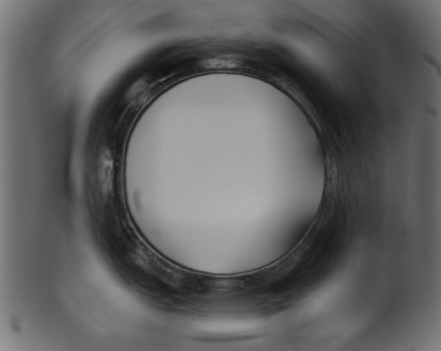 X0000100871151200807181231