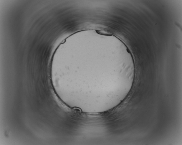 X0000100871152200807181231