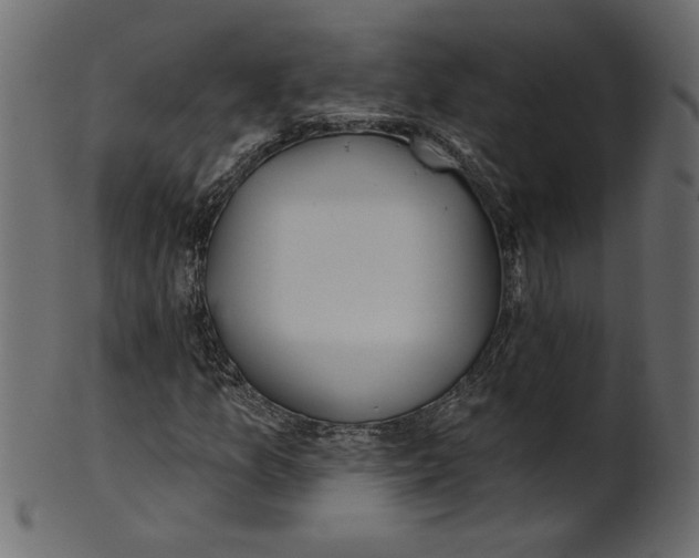 X0000100871157200807181230