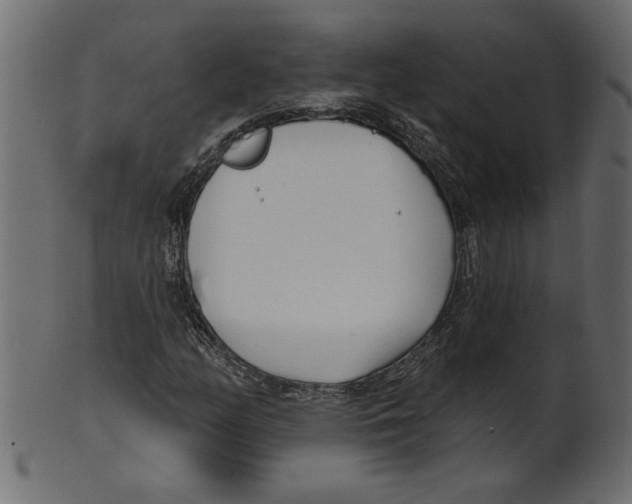 X0000100871158200807181230