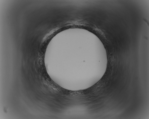 X0000100871159200807181230