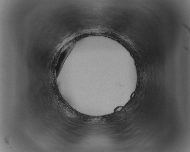 X0000100871160200807181230