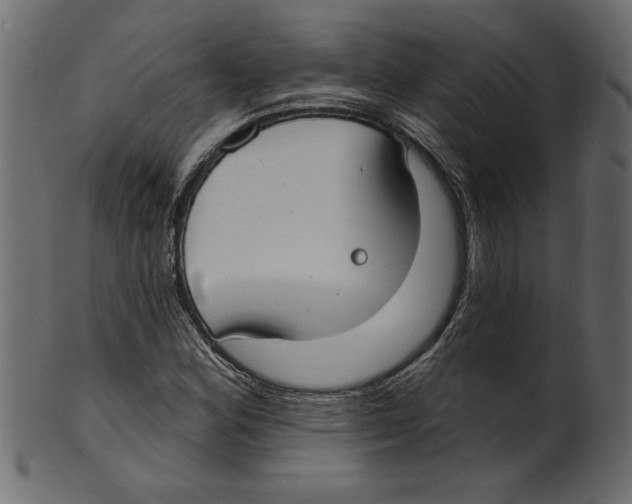 X0000100871164200807181230