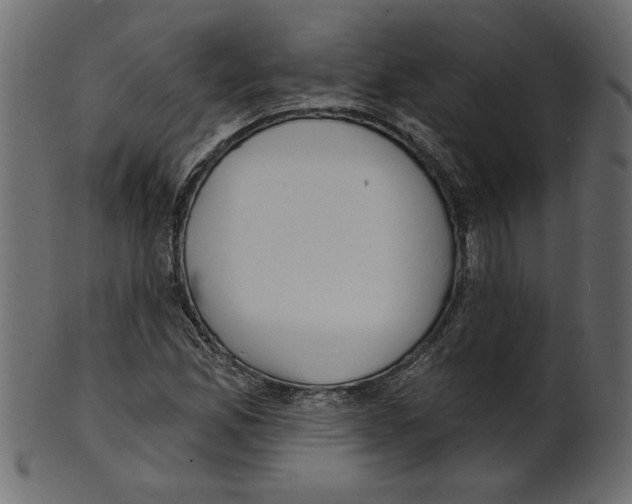 X0000100871165200807181230