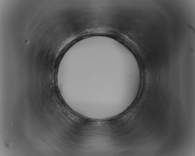 X0000100871166200807181230