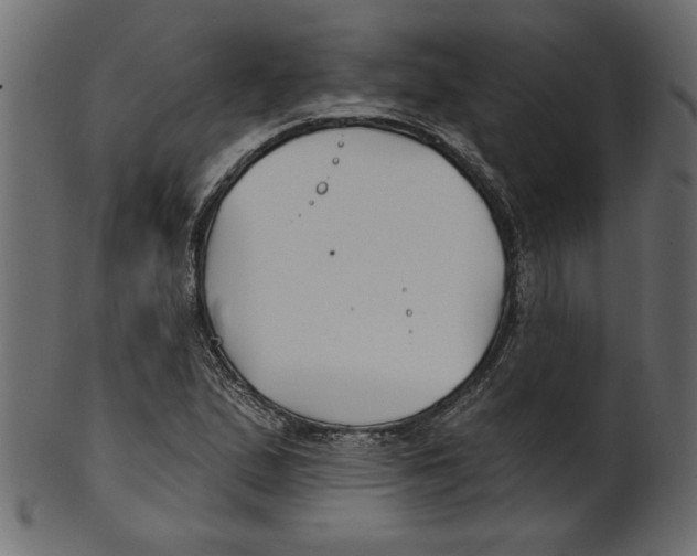 X0000100871167200807181230
