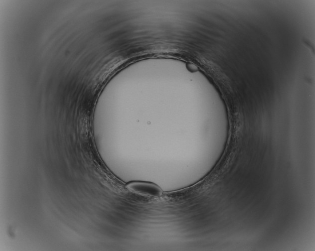 X0000100871169200807181230