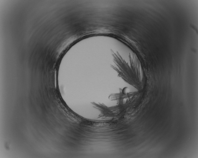 X0000100871171200807181230
