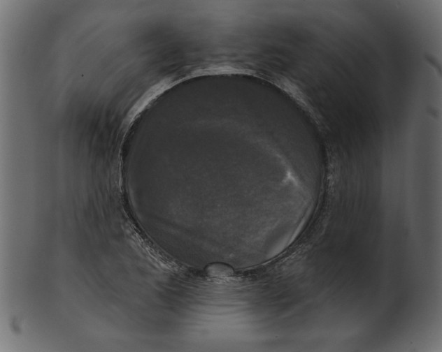 X0000100871173200807181230