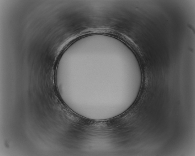 X0000100871174200807181230