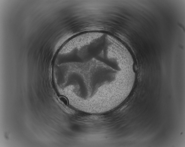 X0000100871179200807181230
