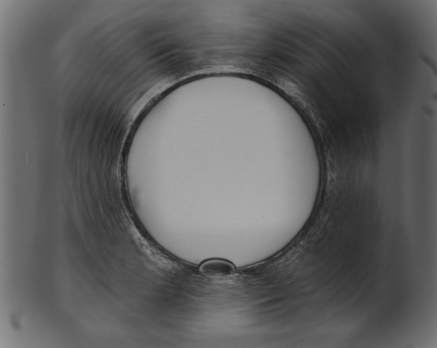 X0000100871181200807181230