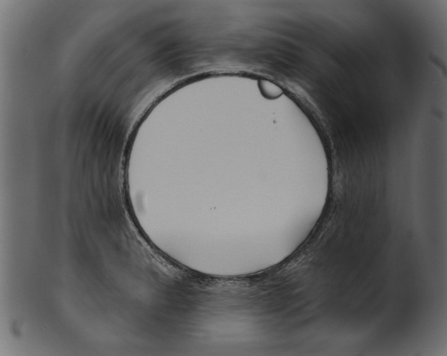 X0000100871183200807181229