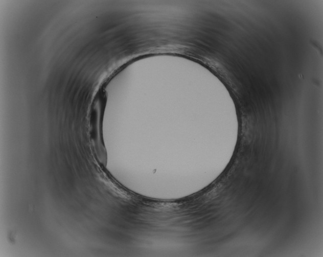 X0000100871184200807181229