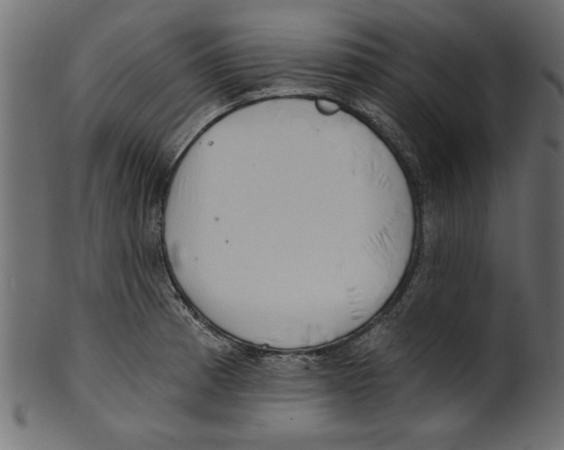 X0000100871185200807181229