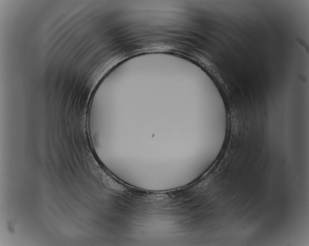X0000100871186200807181229