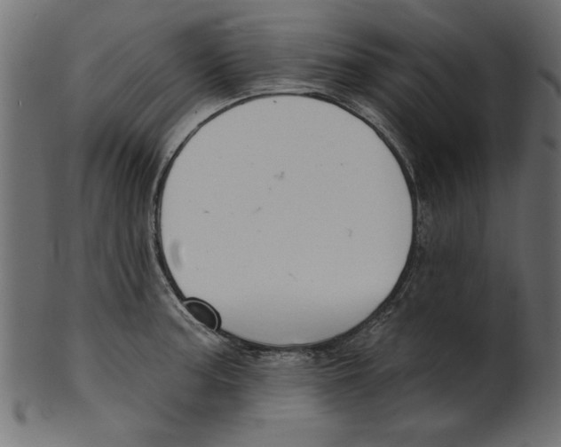 X0000100871187200807181229