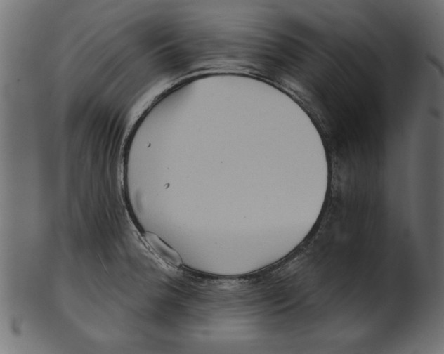 X0000100871188200807181229