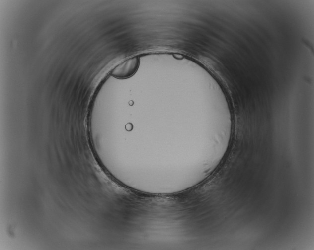 X0000100871189200807181229