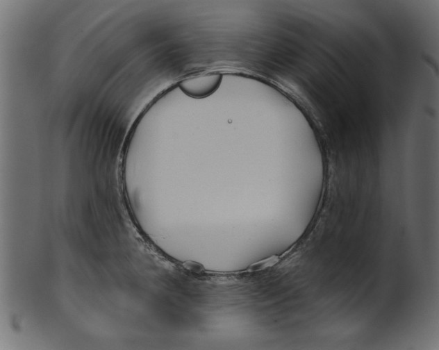 X0000100871190200807181229