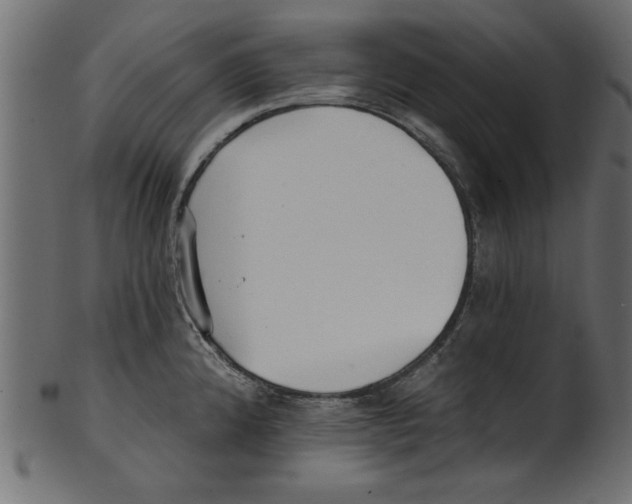 X0000100871192200807181229