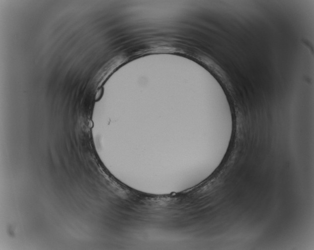 X0000100871193200807181229