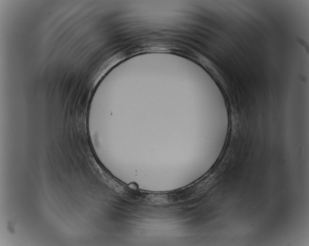 X0000100871194200807181229