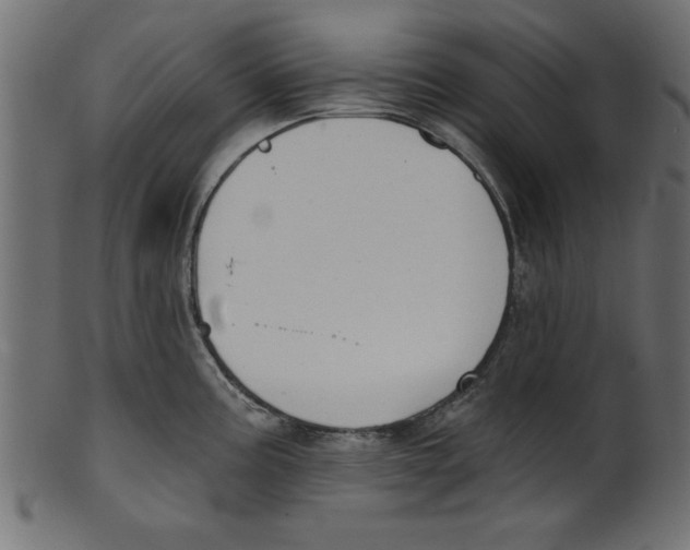 X0000100871195200807181229