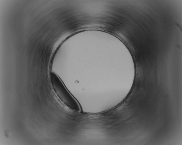 X0000100871196200807181229