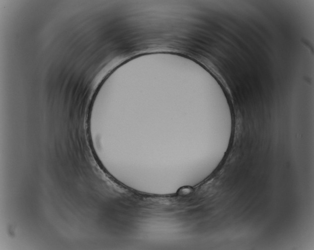 X0000100871197200807181229