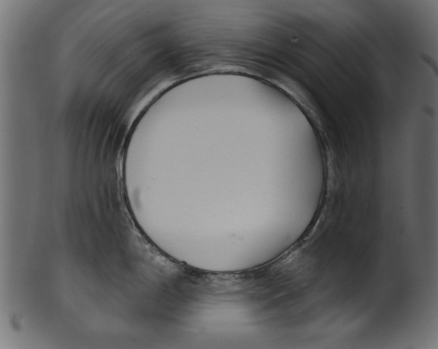 X0000100871198200807181229