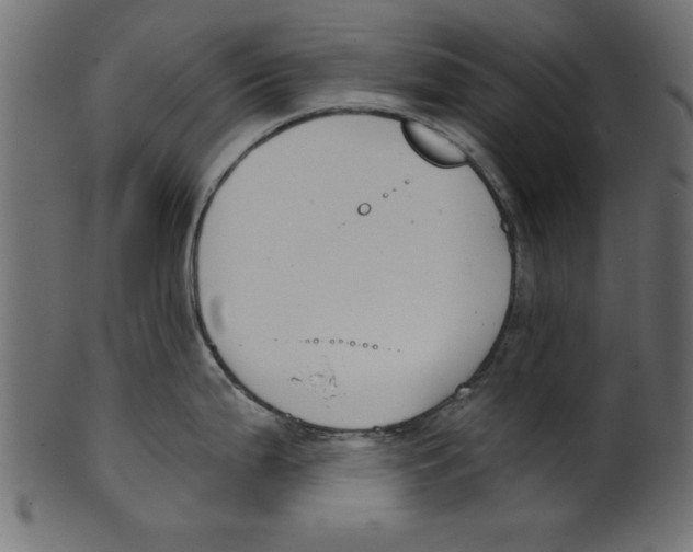 X0000100871199200807181229