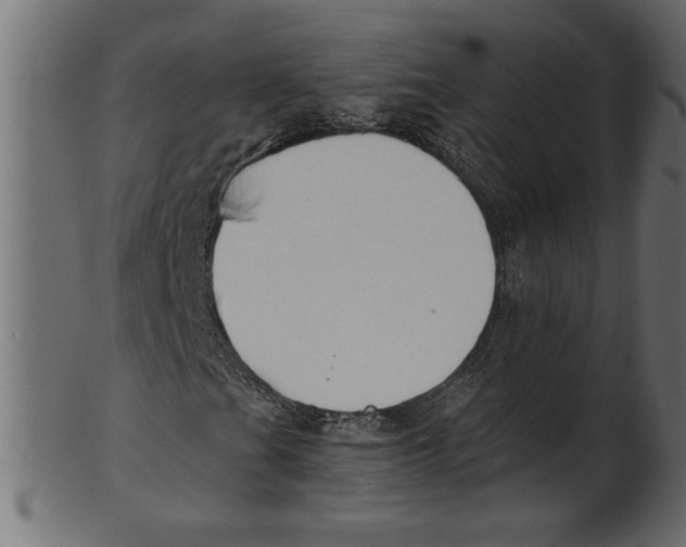 X0000100871201200807181229