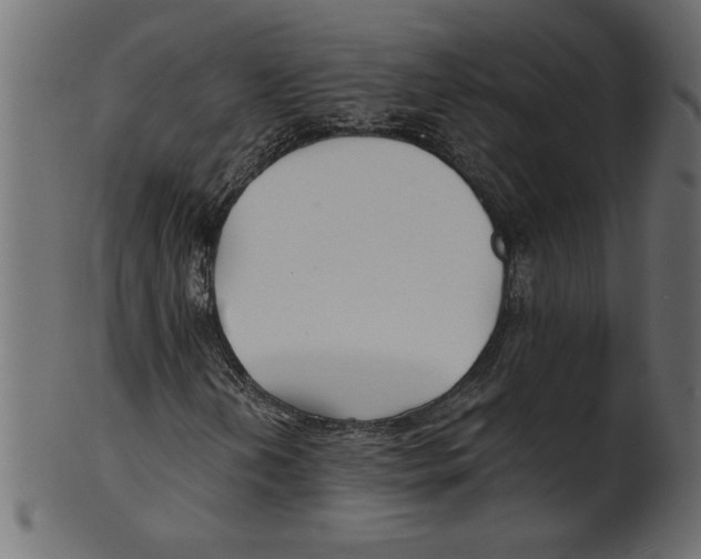 X0000100871202200807181229