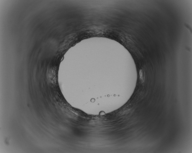 X0000100871203200807181229